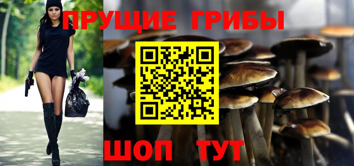 Псилоцибиновые грибы прущие грибы Псков
