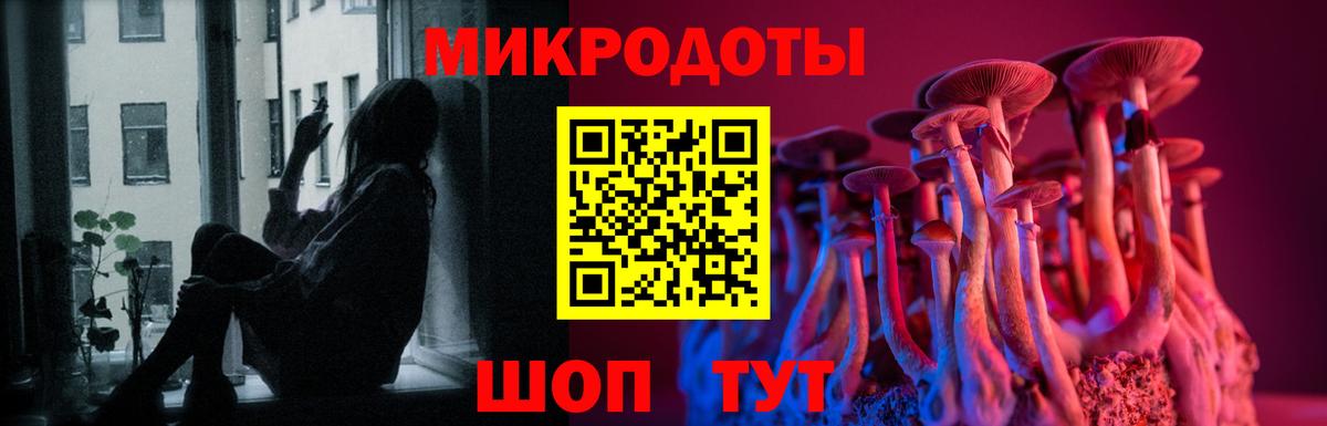 Псилоцибиновые грибы Psilocybine cubensis  Галлюциногенные грибы Psilocybine cubensis  Вход с VPN  Псков 